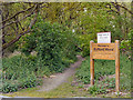 The Entrance to Rufford Wood