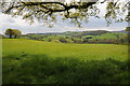 Farmland on the edge of the forest