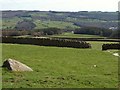 Pasture by the Nidderdale Way