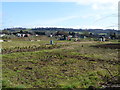 Allotment gardens [1]