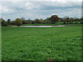 Old clay pit that is now a pond