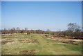 Royal Ashdown Forest Golf Course