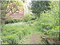 The Rectory Wildlife Garden - off Rectory Place