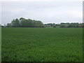 TL5179 : Farmland off the A142 by JThomas