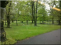SU4211 : Palmerston Park from a bus by Dave Waghorn