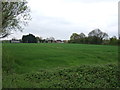 Farmland towards Bancroft Farm