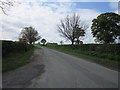 The road from Newby Hall