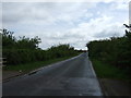 Beck Road towards West Row