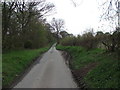 Looking north on this old lane