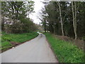 Lane towards Bwrddy y Tri Arglwydd