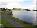 Ballysaggart Lough