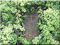 Roadside Stone on Staveley Lane