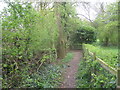 The footpath from Eakring entering Maplebeck