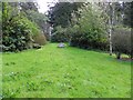 Open area, Knockmany Forest