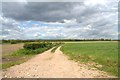SK8757 : Farm track off Newark Road, near Stapleford by J.Hannan-Briggs