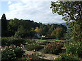 Above the Rose Terrace Bodnant Garden