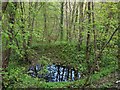 Pond in bell-pit near Stanleyburn Bridge