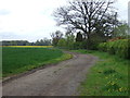 Farm track off Ingham Road