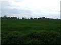 Farmland north of Thurston