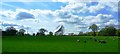 Sheep Pasture near Jodrell Bank