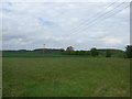 Farmland, Norton Little Green