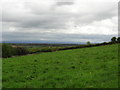 On the slopes of Eddisbury Hill