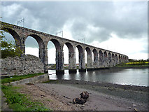 NT9953 : Berwick-upon-Tweed:  The Royal Border Bridge by Dr Neil Clifton