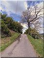 Path to Nearer Holker House