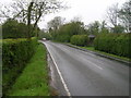 B1115 towards Hitcham