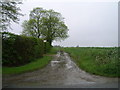 Muddy track off the B1115