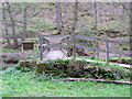 Footbridge over Dowles Brook,  taken from Knowles Mill