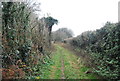 Byway past Boarsbarrow Hill