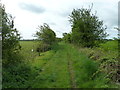 Footpath heading towards River Wyre