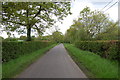 Lane near Springbourne Farm