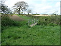 Bridge on bridleway Arlington 24 to Arlington Reservoir