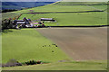 Farmland at Whitelee