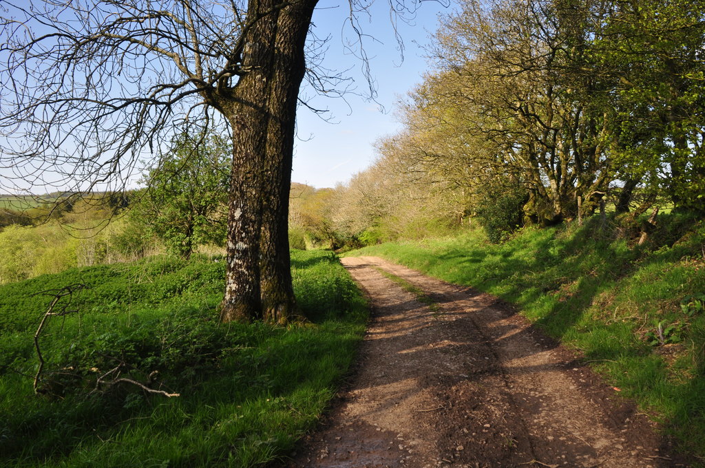 West Somerset : Countryside Path © Lewis Clarke :: Geograph Britain and ...