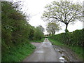 Mill Lane, Burnt Heath