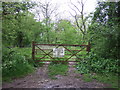 Gated track into woodland