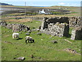 Building remains at Eorabus