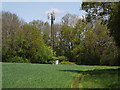 Mast by Beechenwood Farm