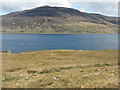 NM4124 : Loch Scridain and Bearraich by M J Richardson