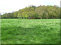 The public footpath to White House Farm