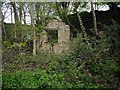 Ruined brick building near Stanleyburn Bridge