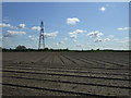 Farmland off the A1133