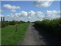 Track heading north from Whitemoor Lane