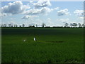 Farmland near the Havelings