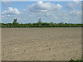 Farmland near Corner House