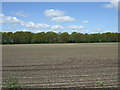 Farmland towards Moor Brats