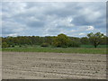 Farmland, Hill Holt